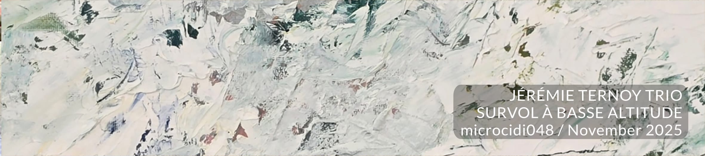 Jérémie Ternoy Trio | Survol à basse altitude
